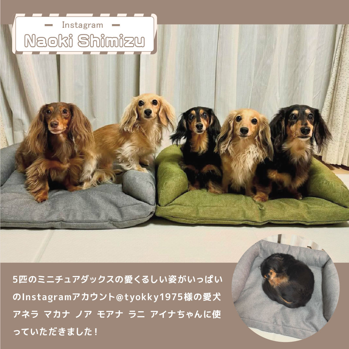 Naoki Shimizu ペットベッド 洗える ペットベッド おしゃれ 犬用ベッド 猫用ベッド ペットグッズ ペット用品