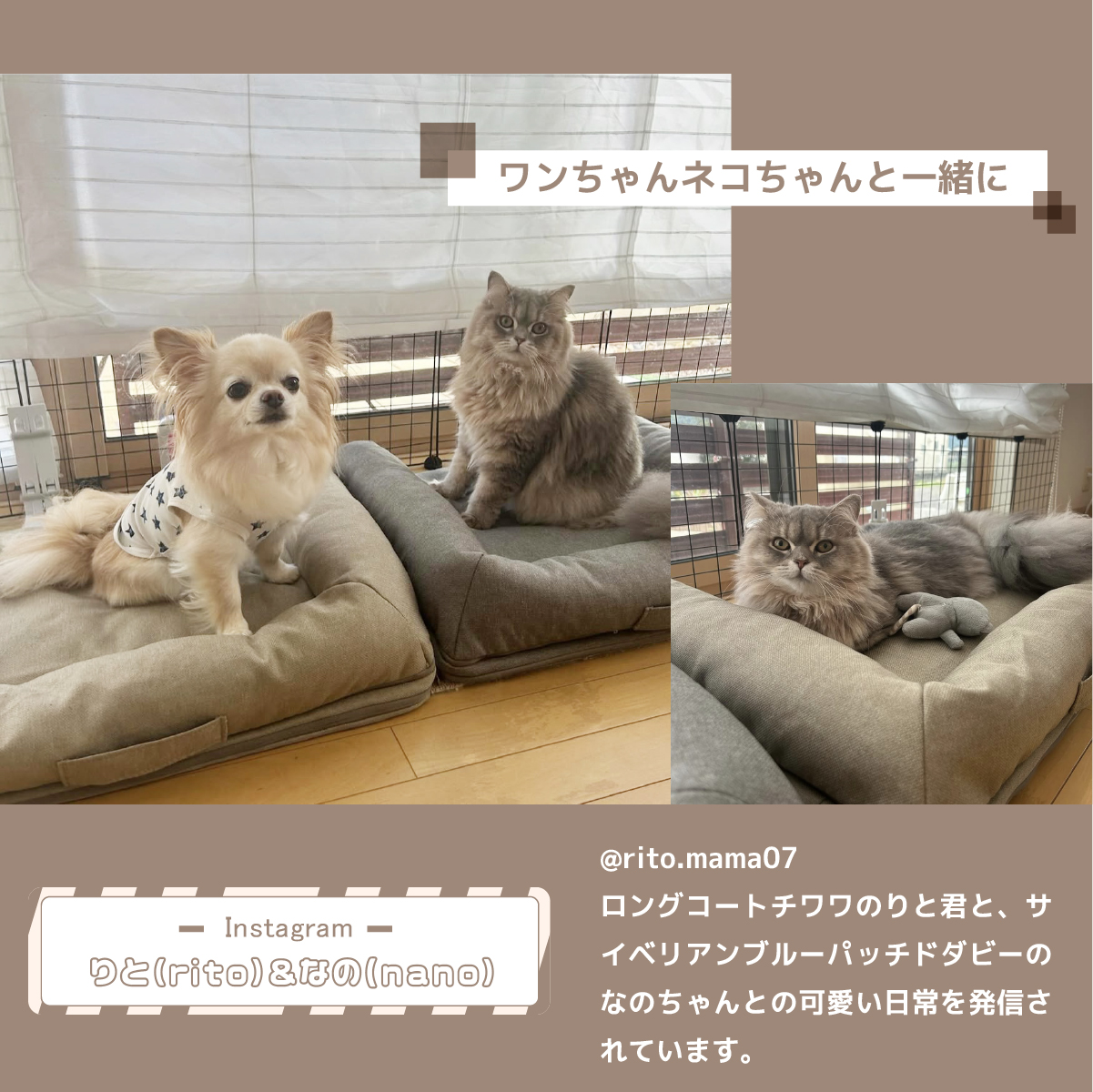 りと＆なの ペットベッド 洗える ペットベッド おしゃれ 犬用ベッド 猫用ベッド ペットグッズ ペット用品