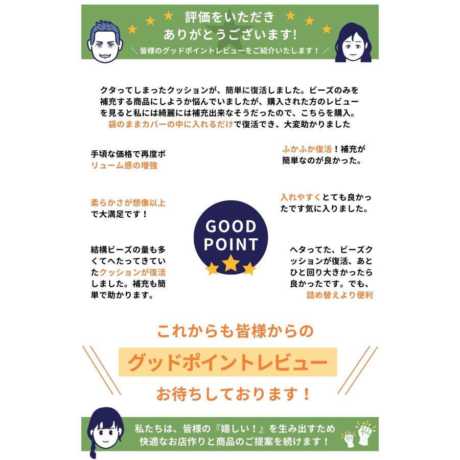 レビュー 補充クッション