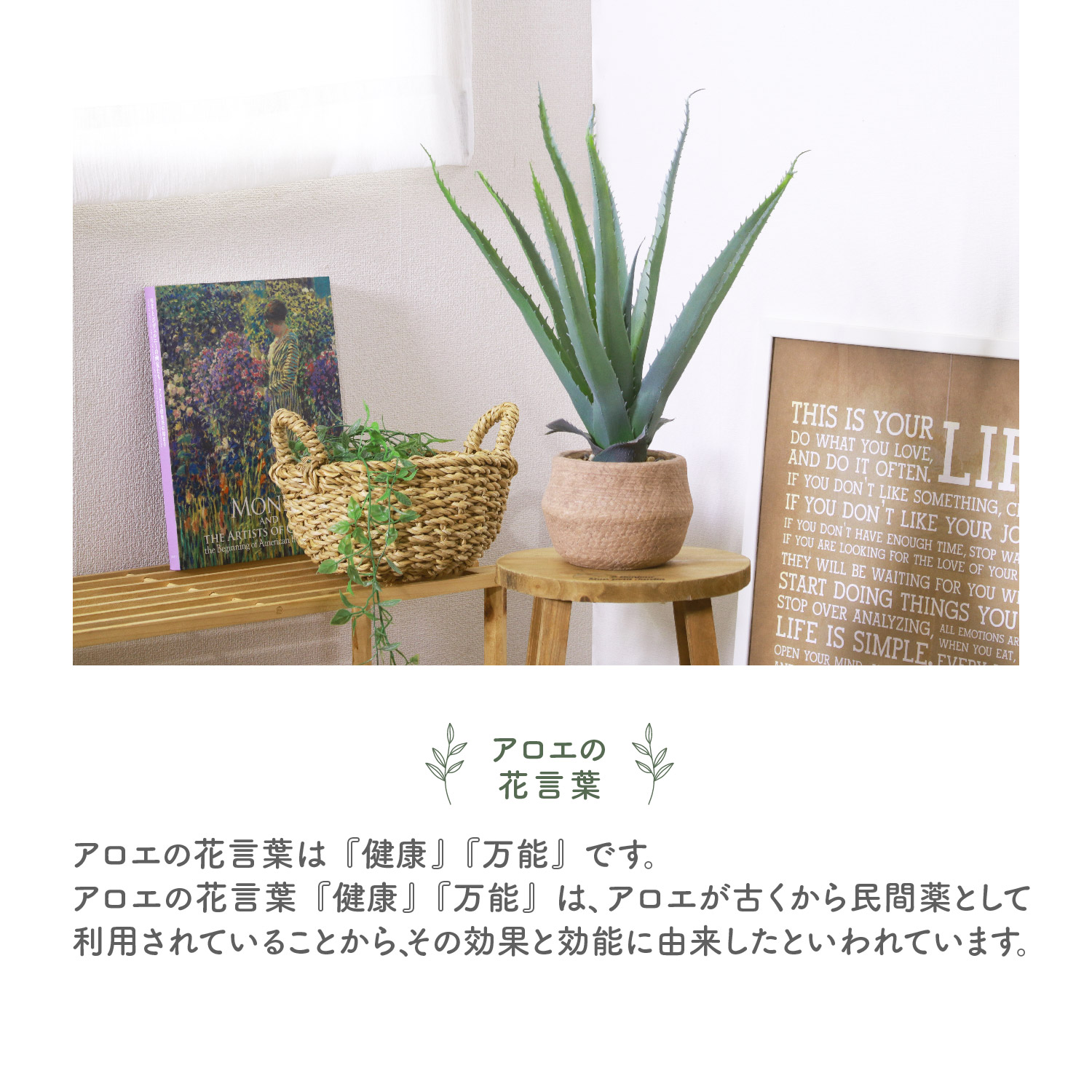 フェイクグリーン アロエS セメントポット グリーンライフ 室内