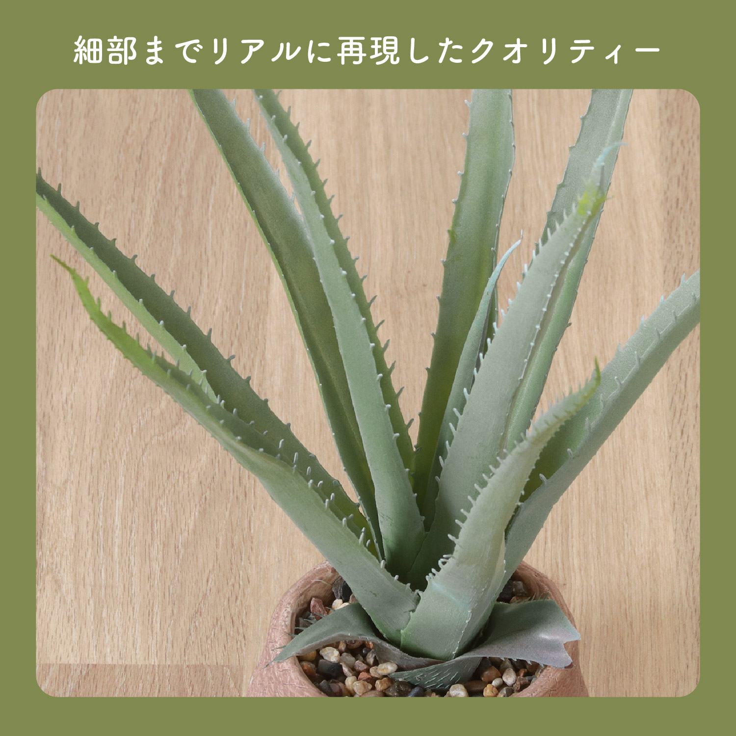 フェイクグリーン アロエS セメントポット グリーンライフ 室内