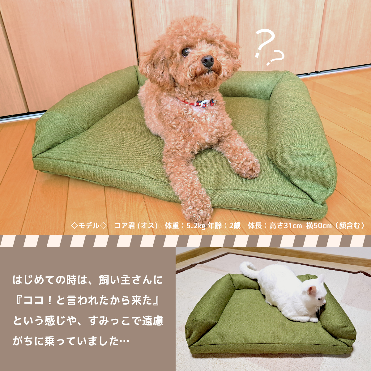 ペットベッド 洗える ペットベッド おしゃれ 犬用ベッド 猫用ベッド ペットグッズ ペット用品