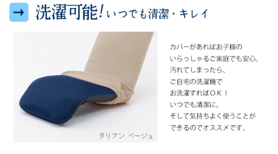 セルタン 和楽チェア プレミアム専用カバー カバー単品 座椅子 A555