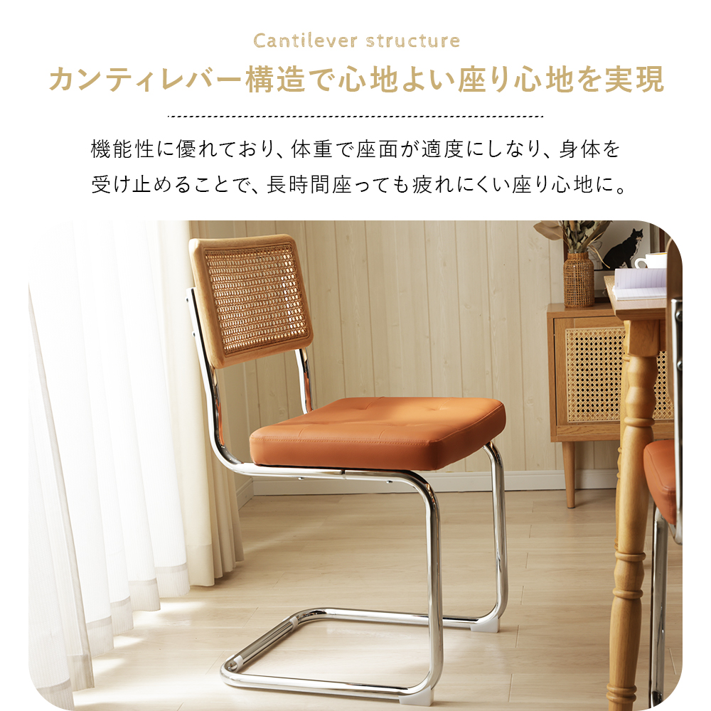 セルタン ダイニングチェア ラタン レザー チェア スチール脚 背もたれ