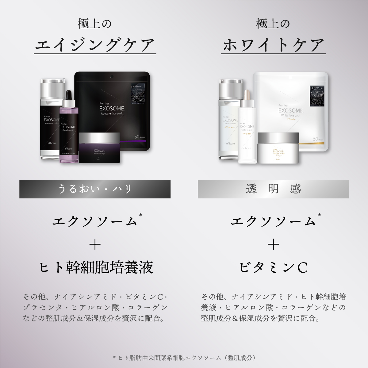 Celule Online Shop - efficare（エフィケア）｜Yahoo!ショッピング