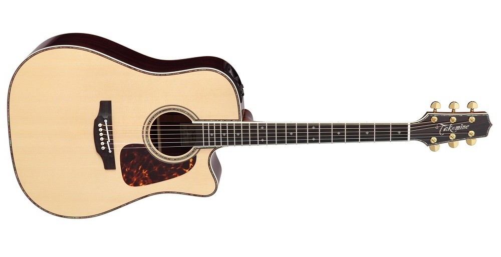 送料無料) Takamine (タカミネ) DMP200 N アコースティックギター