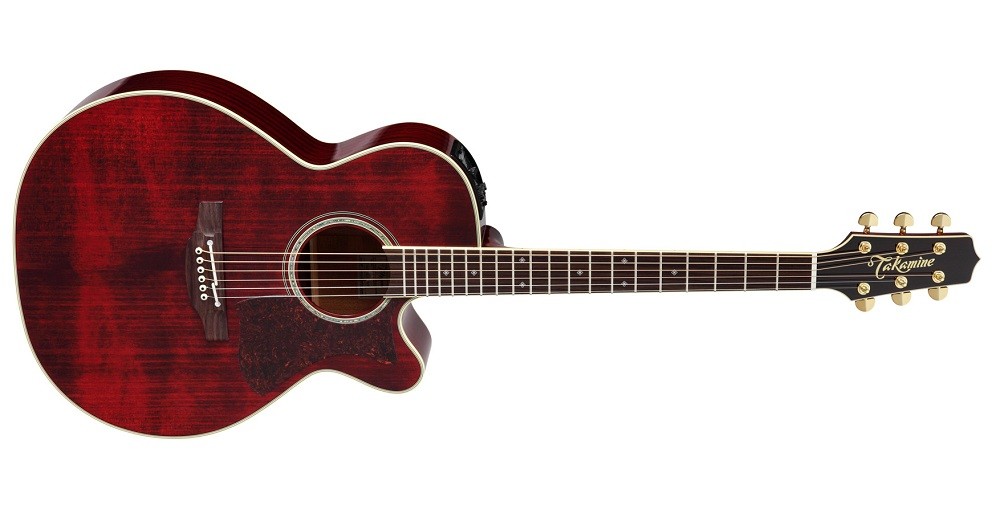 送料無料) Takamine (タカミネ) DMP551C WR アコースティックギター