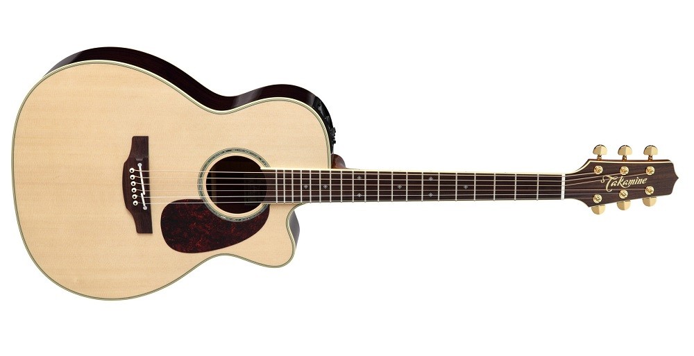 送料無料) Takamine (タカミネ) DMP761C N アコースティックギター