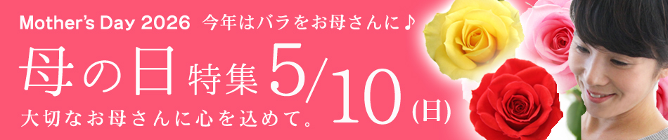 母の日