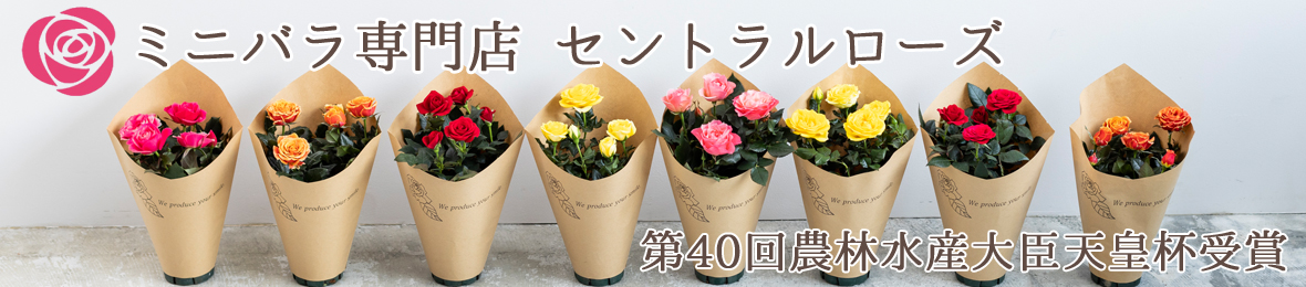 ミニバラ専門店セントラルローズ ヘッダー画像