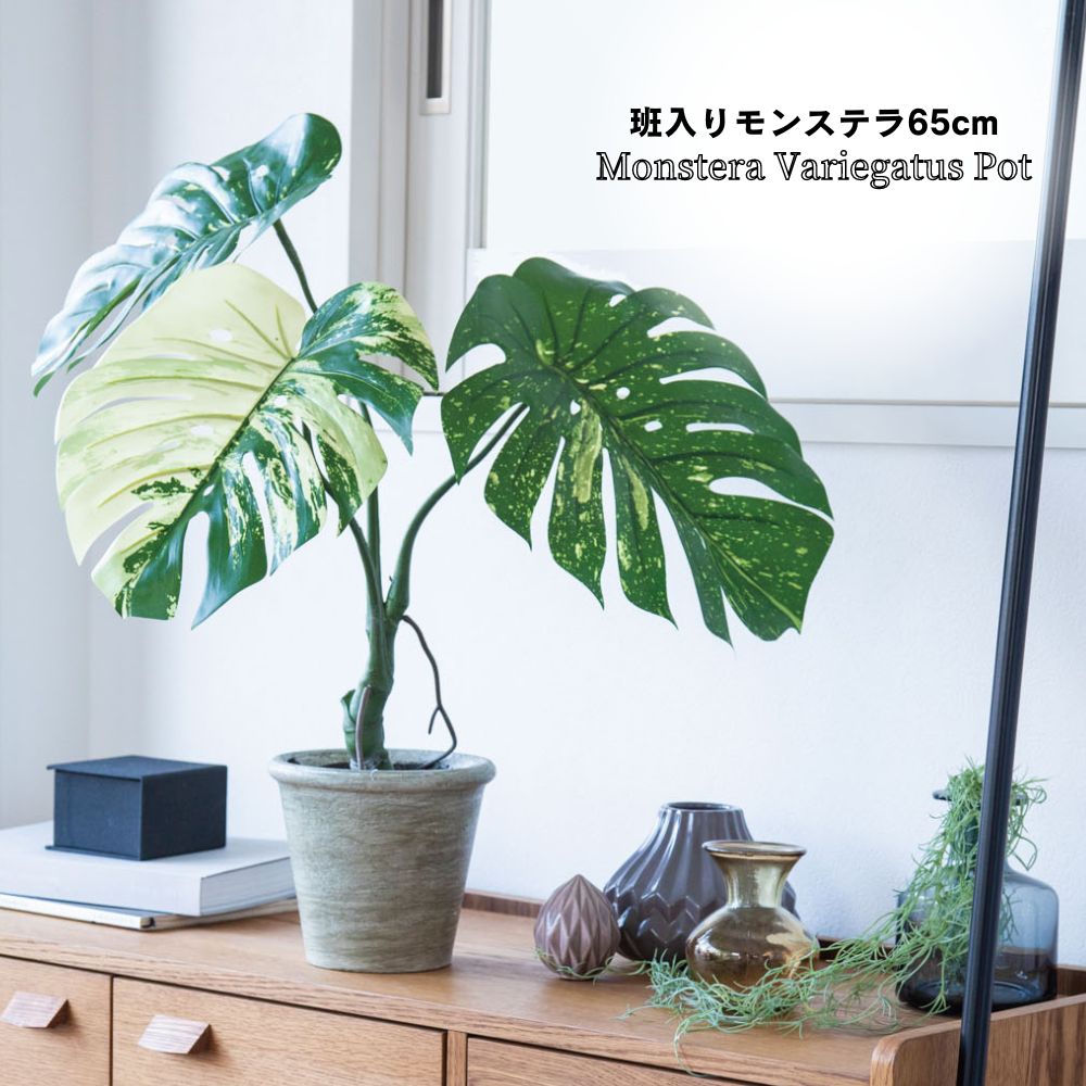 モンステラ 人工植物 フェイクグリーン 班入り リアル(モンステラバリエガータポット65cm)