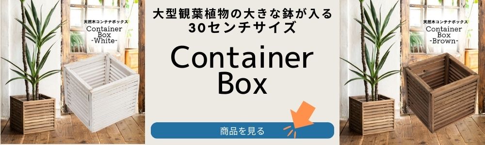 コンテナ大リンク