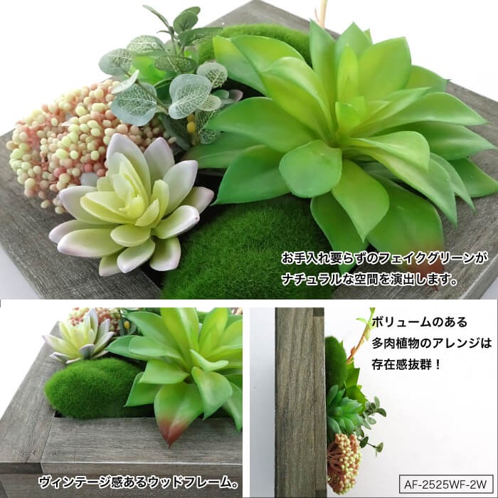 観葉植物 壁かけ 多肉植物 造花 フレーム 壁 インテリア(ウォール