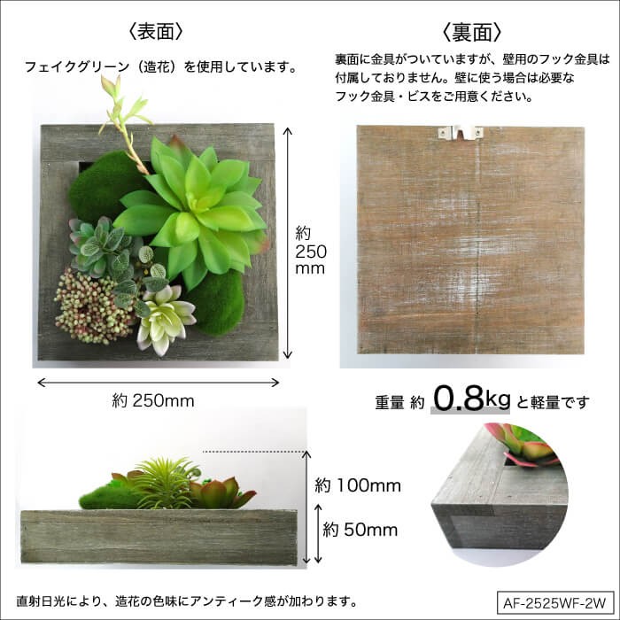 フェイクグリーン 多肉植物 造花 フレーム 壁 インテリア(ウォールフラワーシリーズ 2W)