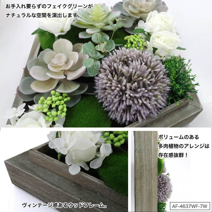 CeraCore（セラコア） フェイクグリーン 多肉植物 造花 フレーム 壁