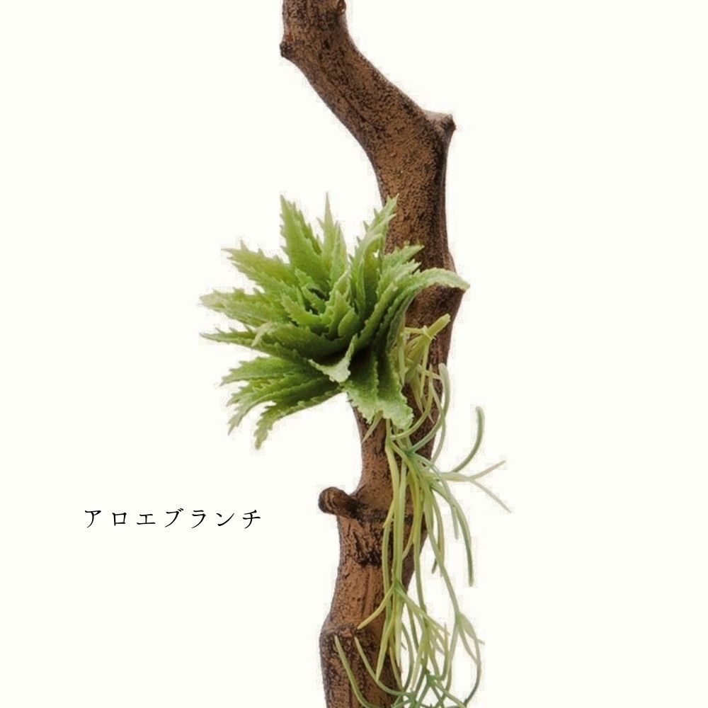 ポピー フェイクグリーン 雑貨 インテリア 多肉植物 インテリア
