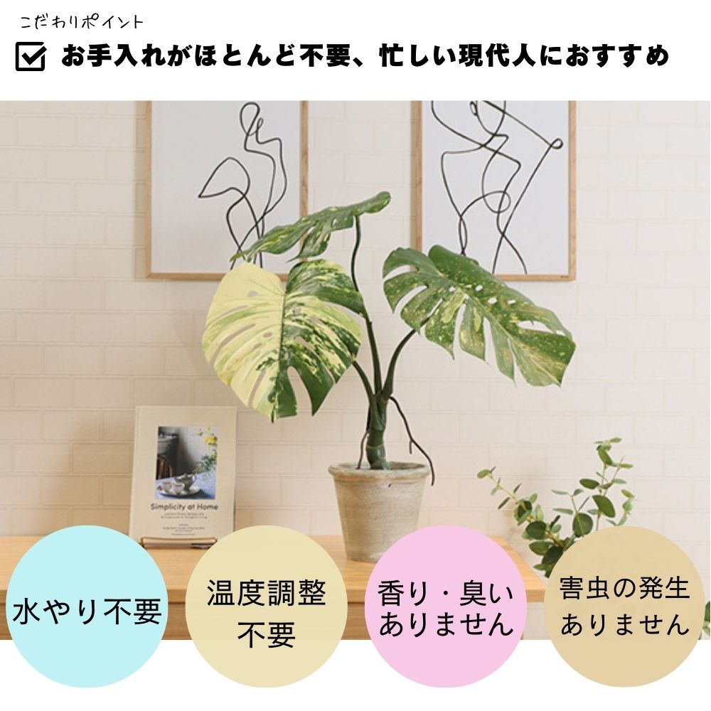 モンステラ 人工植物 フェイクグリーン 班入り リアル(モンステラ