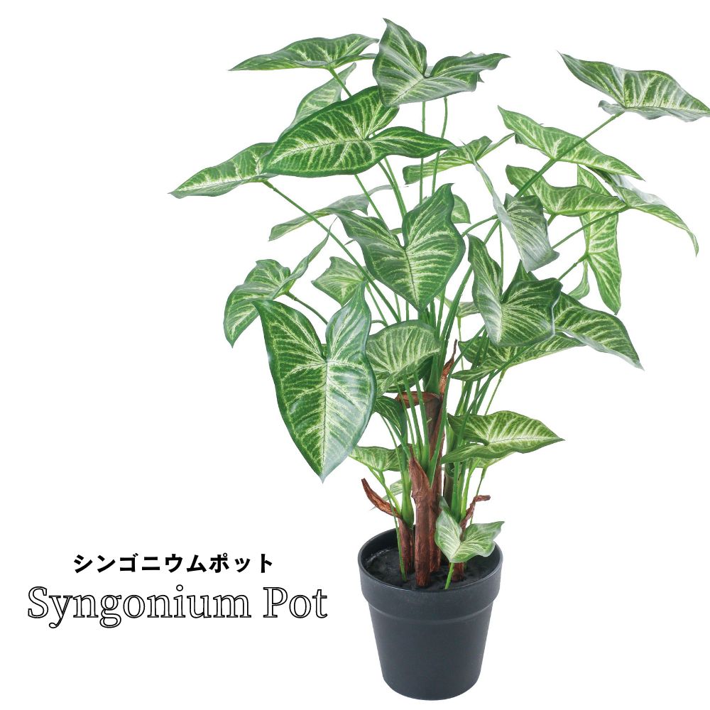 観葉植物 フェイクグリーン アーティフィシャル インテリアグリーン リアル(樹木ポット シンゴニウムポット)｜ceracore｜02