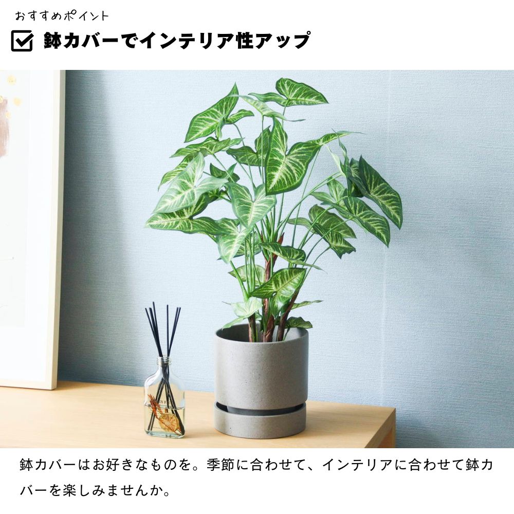 観葉植物 フェイクグリーン アーティフィシャル インテリアグリーン リアル(樹木ポット シンゴニウムポット)｜ceracore｜08