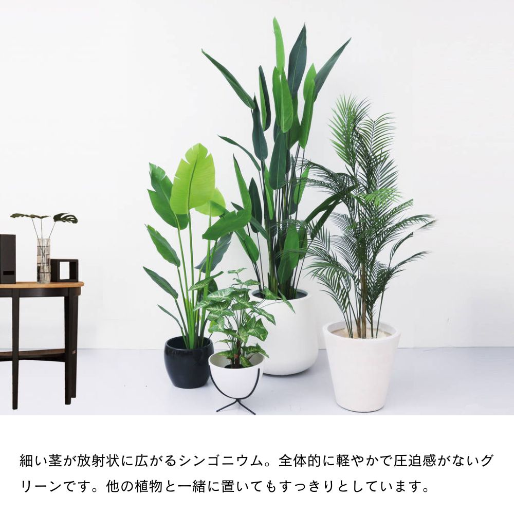 観葉植物 フェイクグリーン アーティフィシャル インテリアグリーン リアル(樹木ポット シンゴニウムポット)｜ceracore｜09