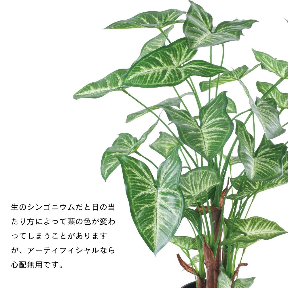 観葉植物 フェイクグリーン アーティフィシャル インテリアグリーン リアル(樹木ポット シンゴニウムポット)｜ceracore｜12