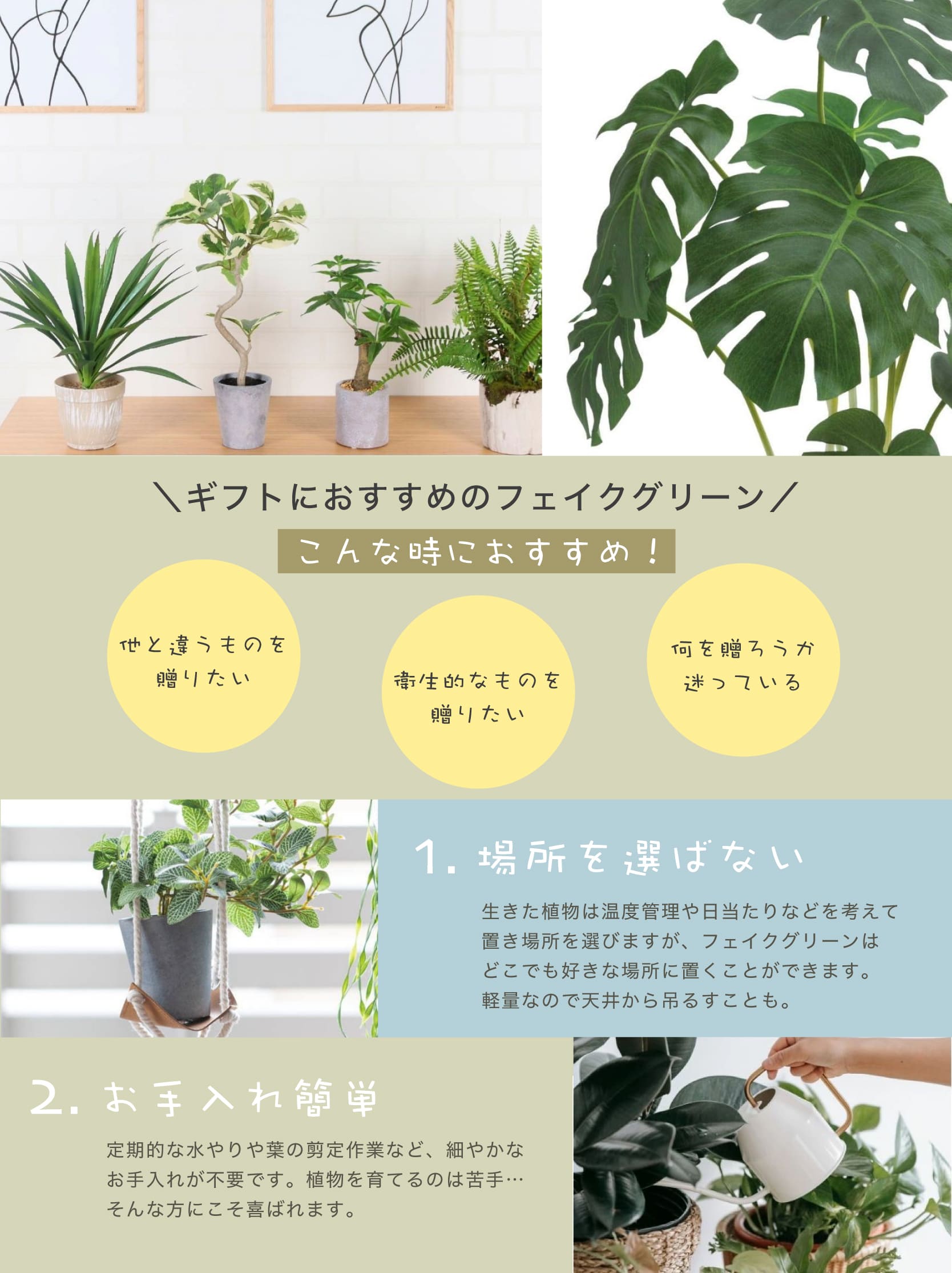 インテリアショップ セラコア - 観葉植物（ギフト特集）｜Yahoo