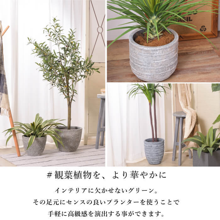 おしゃれ プランターカバー 植木鉢 鉢植え 鉢 5号 6号 観葉植物 底穴付き 軽量 シンプル ガーデニング ( グリーンベース GRNB 3タイプ  ) : az-grnb-20134 : インテリアショップ セラコア - 通販 - Yahoo!ショッピング