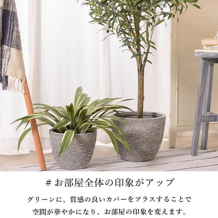 おしゃれ プランターカバー 植木鉢 鉢植え 鉢 モルタル風 セメント風 観葉植物 底穴付き 軽量 シンプル ガーデニング ( グリーンベース  GRNB-201 5号用 ) : az-grnb-201 : インテリアショップ セラコア - 通販 - Yahoo!ショッピング