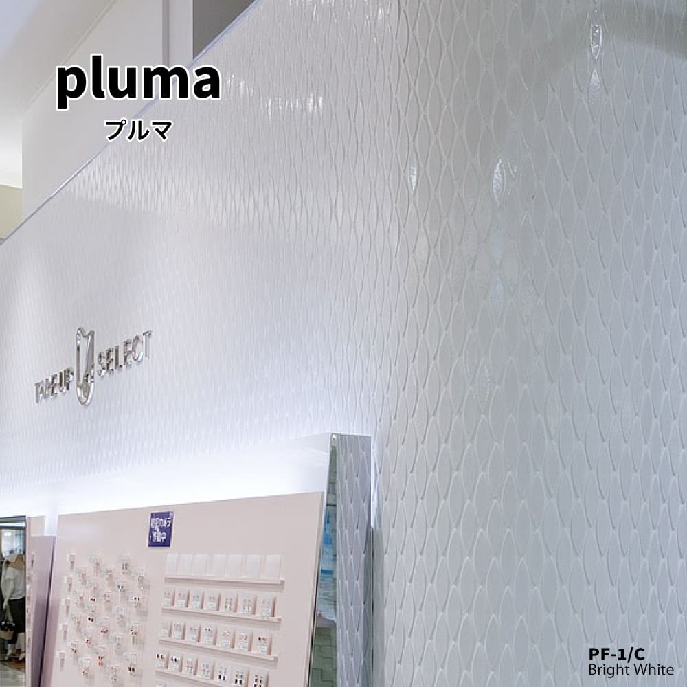 pluma-1.jpg