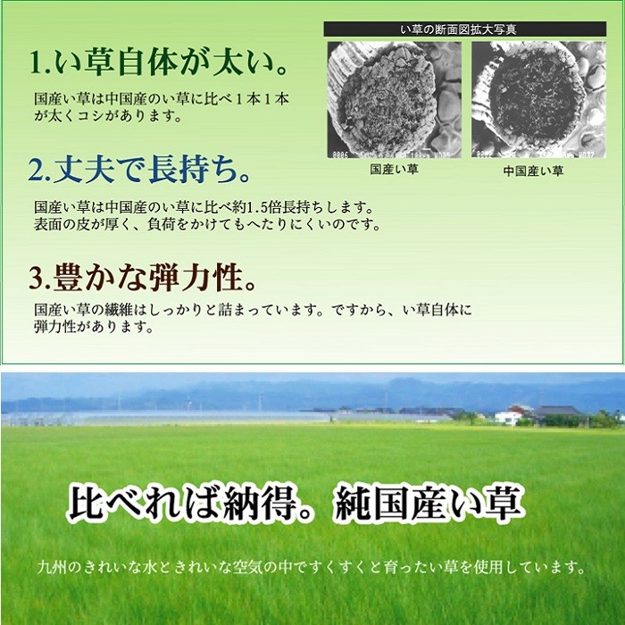 国産畳 発色が美しいふちなし 和室モダン おしゃれ畳 畳マット 人気の