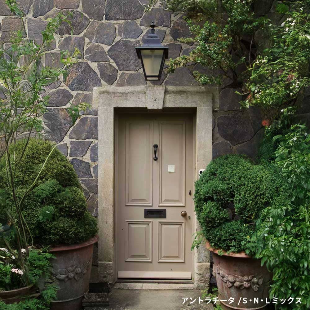 乱形タイル 乱貼り 敷石 石畳 磁器質タイル製 スペイン産 天然石調 乱