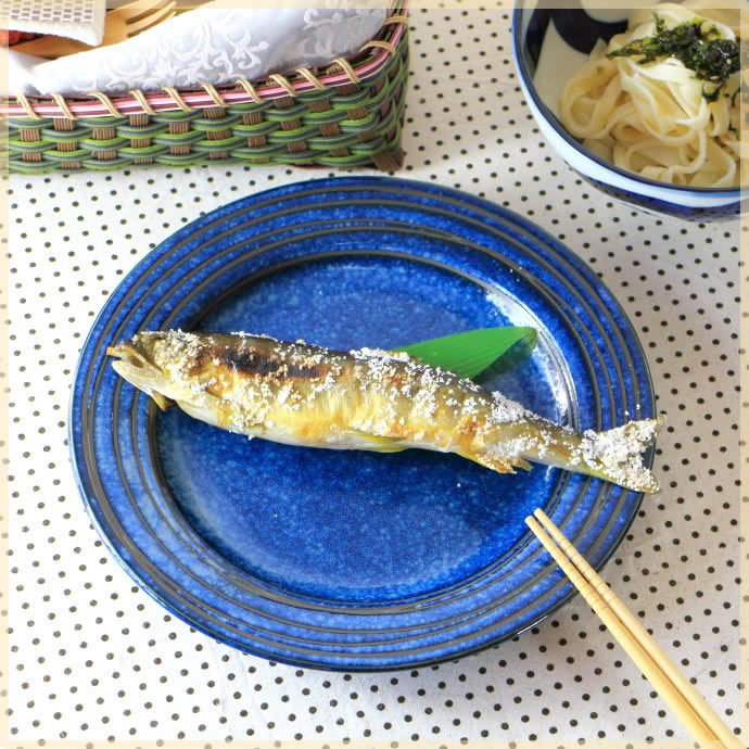 雲海 9寸大皿 国産 美濃焼 マルチプレート パスタ皿 メインディッシュ