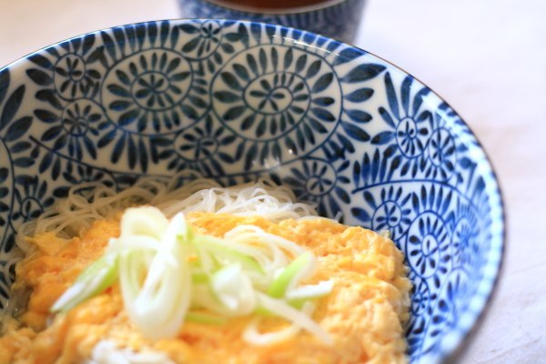 藍染タコ唐草 さぬき丼 国産 美濃焼 古来からある伝統の柄 うどん 蕎麦