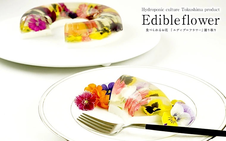 エディブルフラワー 選り取り [ミックス・なでしこ・パンジー・ビオラ