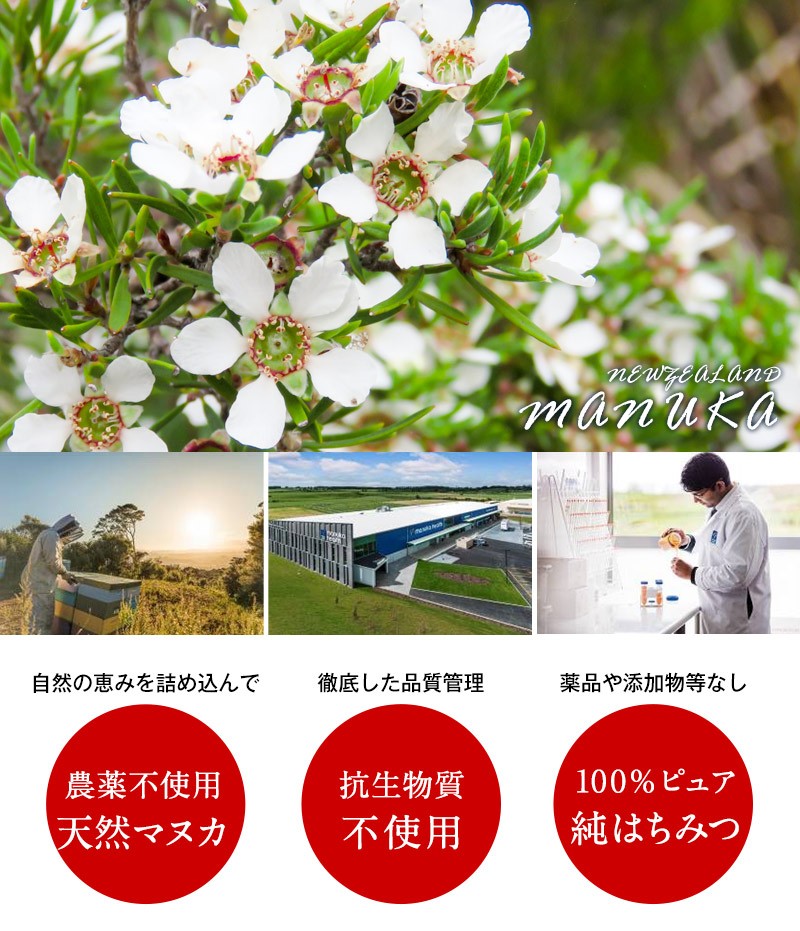 マヌカヘルス マヌカハニーmgo263 250g 常温 全温度帯可 3 4営業日以内に出荷 大注目