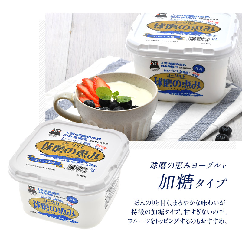 球磨の恵みヨーグルト