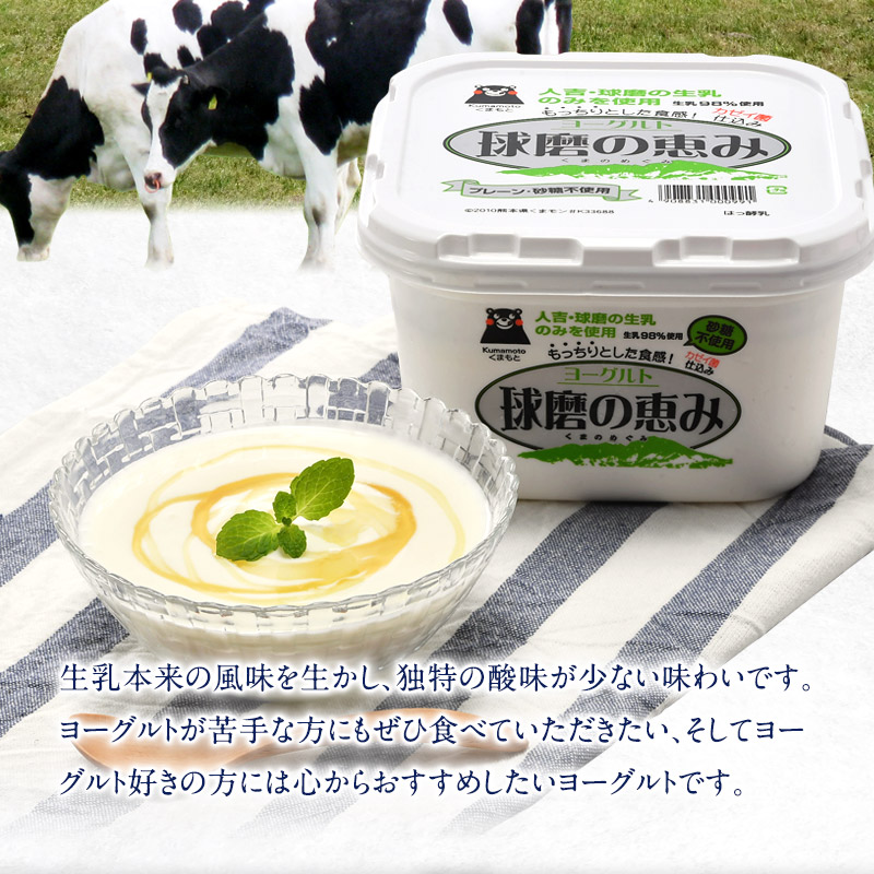 球磨の恵みヨーグルト