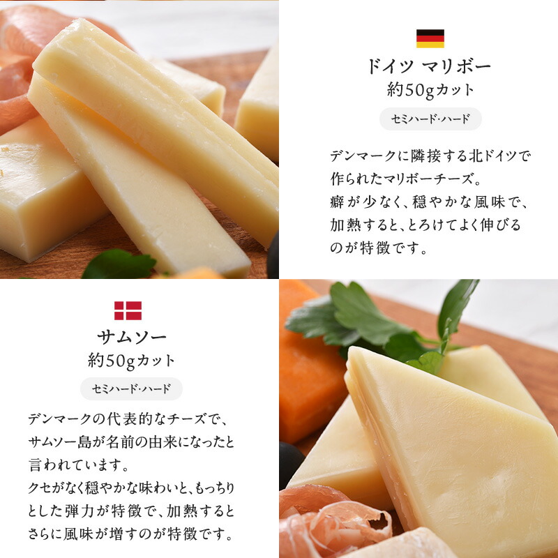 世界8か国10種のチーズ アソート 約50g×10種セット ［冷蔵のみ］【3〜4