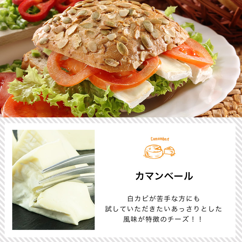 Alpenhain社 カマンベールチーズ 125g［冷蔵］【3〜4営業日以内に出荷