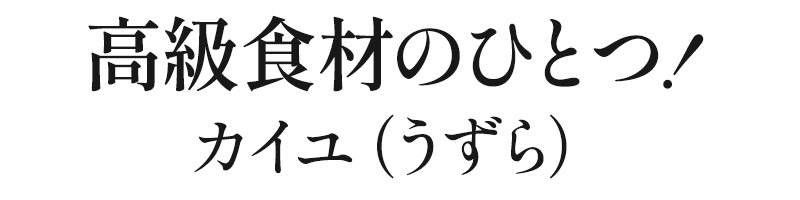 うずら肉