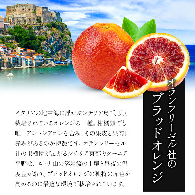 ブラッドオレンジ様 リクエスト 5点 まとめ商品 ブラッドオレンジ様 リクエスト 2点 まとめ商品 - メルカリ