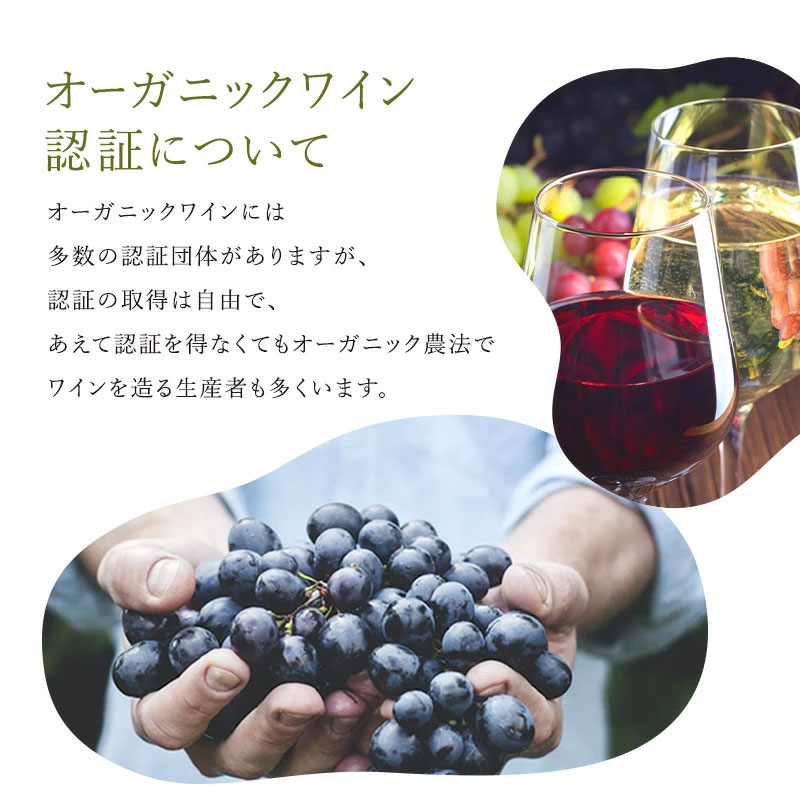 お試し 全部 オーガニックワイン 赤ワイン 5本 セット