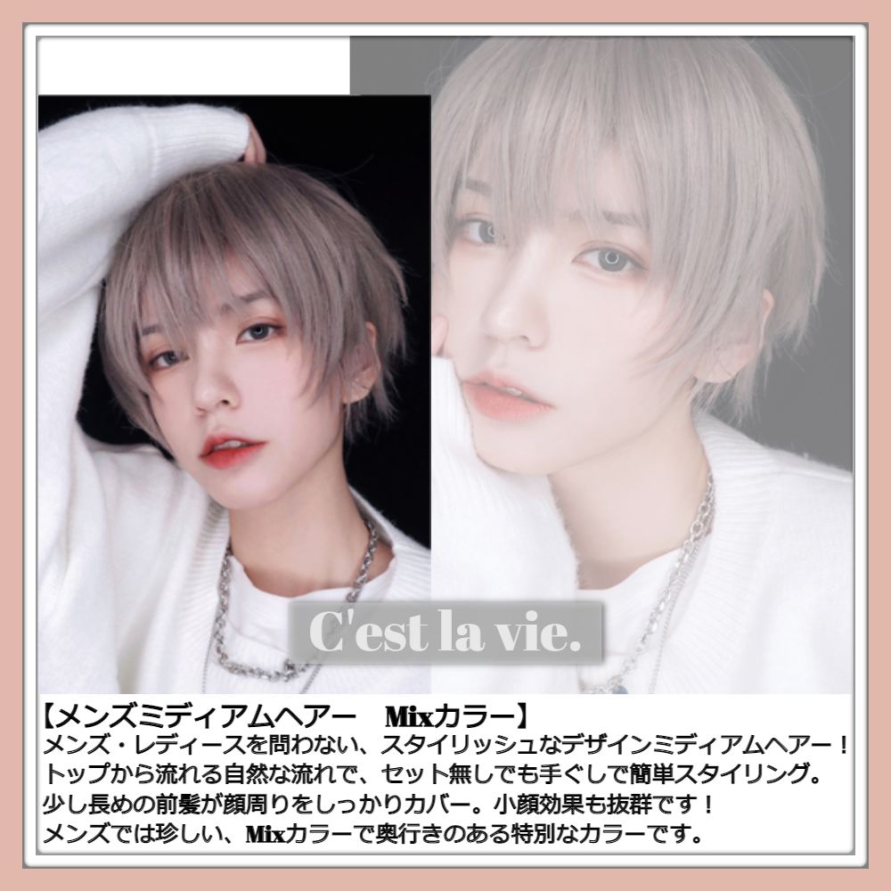 ウィッグ メンズ ミディアム ヘアー アッシュ ブロンズ フル
