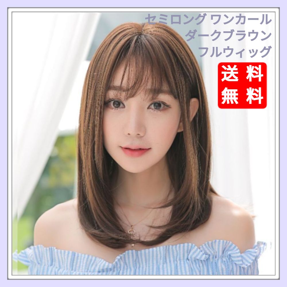 ウィッグ セミロング ワンカール ダーク ブラウン フルウィッグ