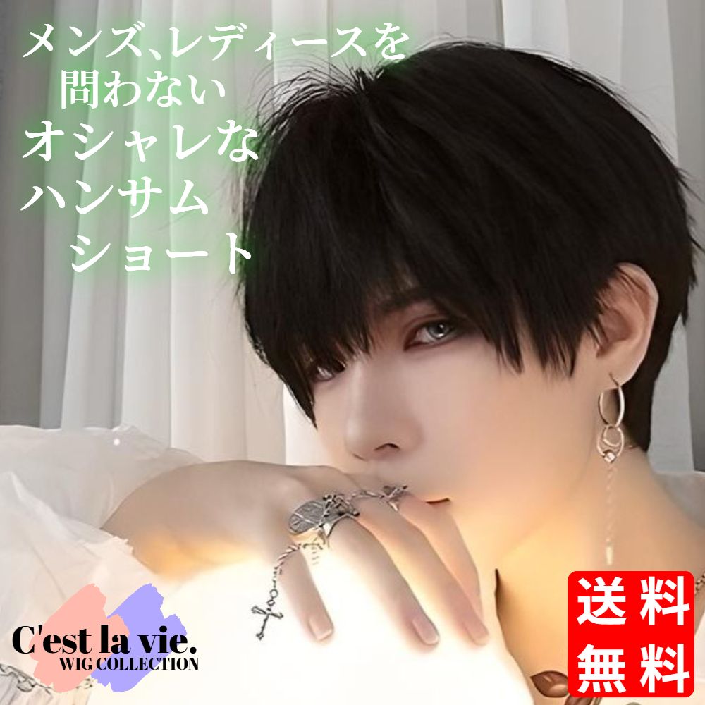 ウィッグ ハンサム ショート ナチュラル ブラック フルウィッグ