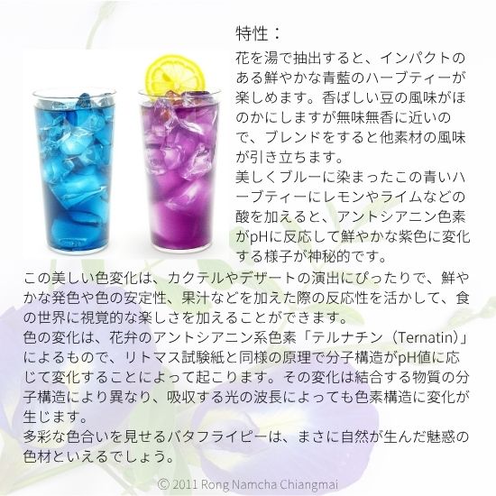 バタフライピーについて3