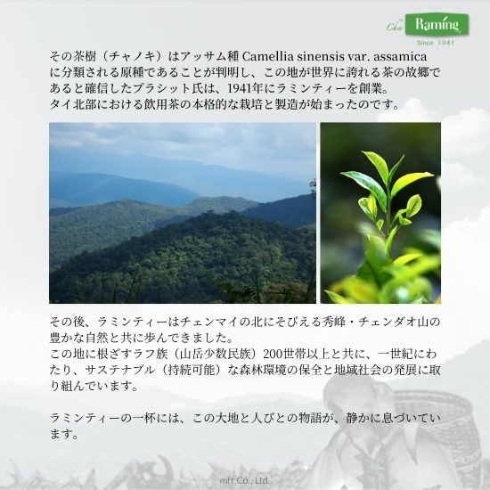 ラミンティーについて2