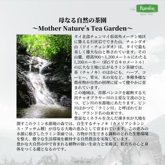 ラミンティーについて3