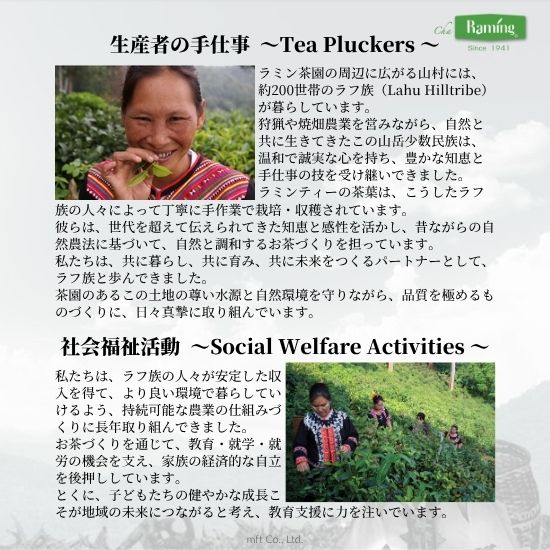 ラミンティーについて4