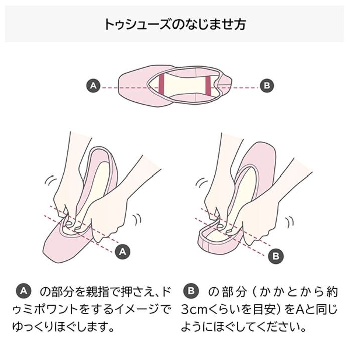 Chacott（チャコット） 【BLOCH】セレナーデ SERENADE : チャコット